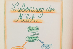 LandFrauen Willingshausen, Lebensweg der Milch