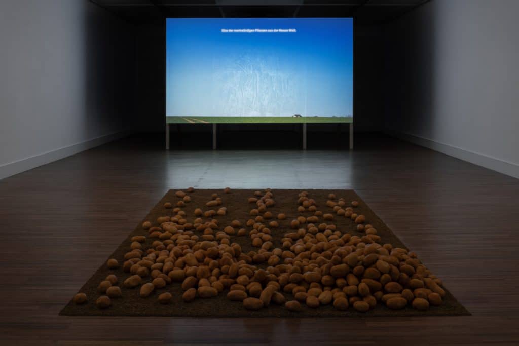 Ausstellung SCHALETT von Pei-Chin Lee in der Kunsthalle, Weltkulturhaus Willingshausen