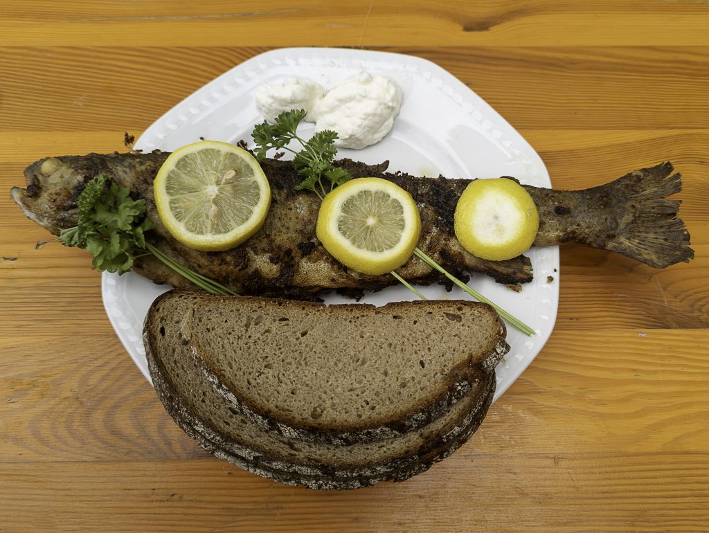 ASV, Libelle Willingshausen Forellenessen